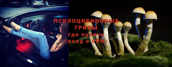 прущая мука Гусиноозёрск
