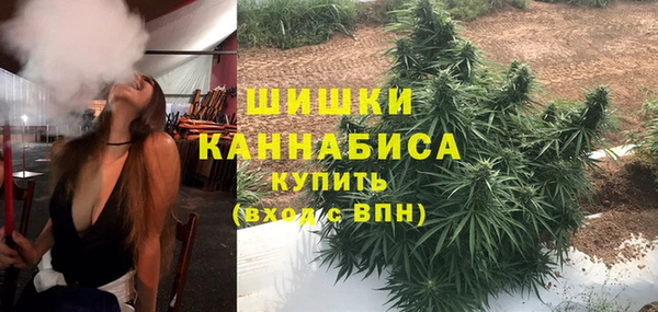 альфа пвп Гусь-Хрустальный