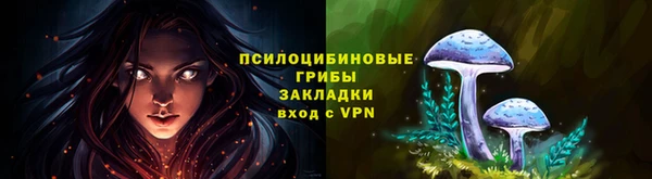 дживик Гусев