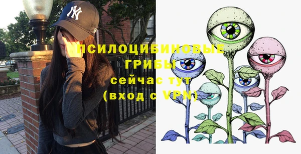 прущая мука Гусиноозёрск