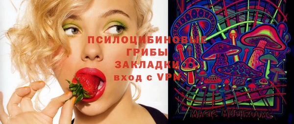 прущая мука Гусиноозёрск