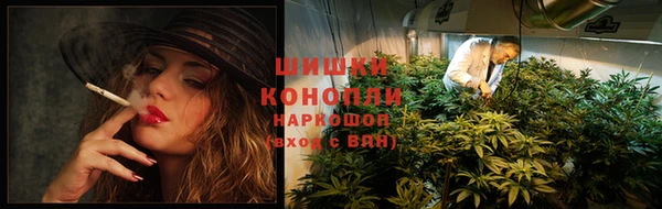 дживик Гусев