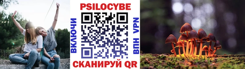 mega сайт  Олёкминск  Псилоцибиновые грибы Cubensis  наркота 
